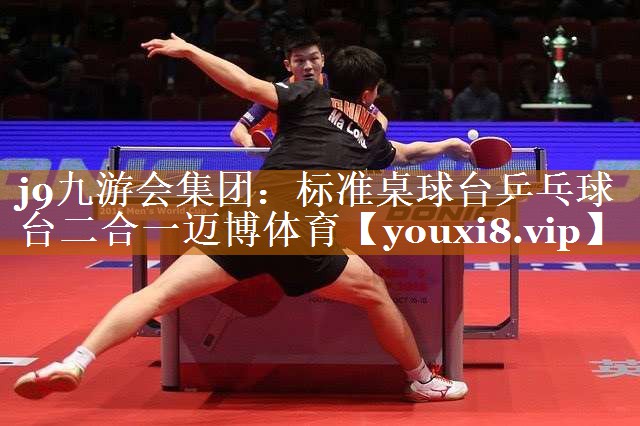 j9九游會集團：標準桌球臺乒乓球臺二合一邁博體育
