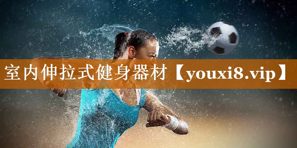 室內(nèi)伸拉式健身器材