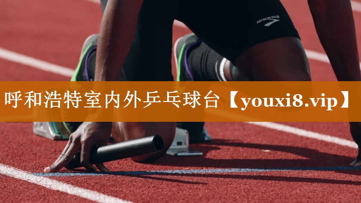 呼和浩特室內外乒乓球臺