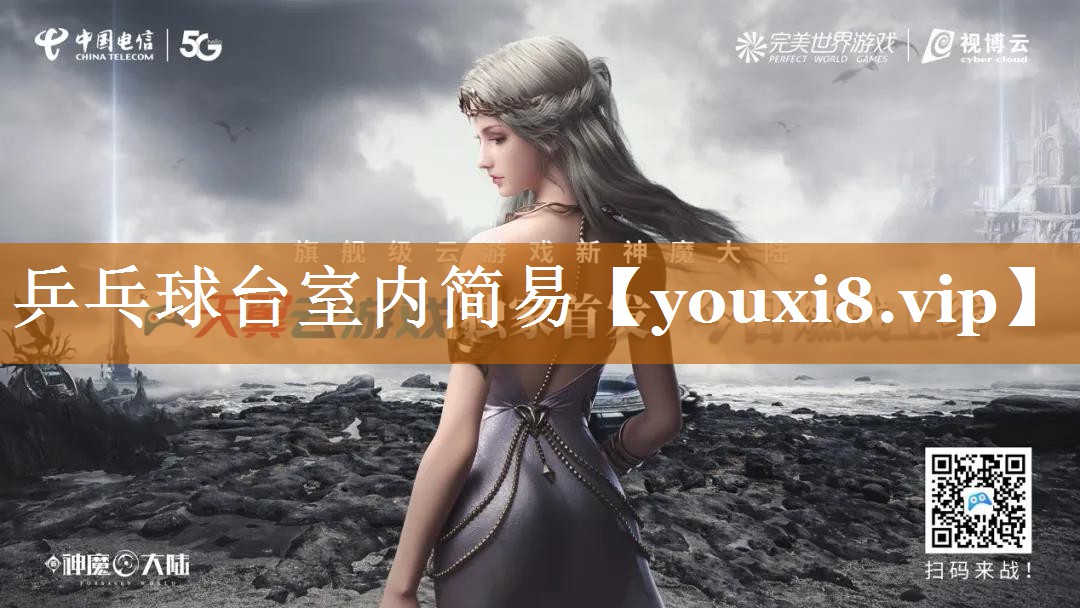 乒乓球臺室內簡易
