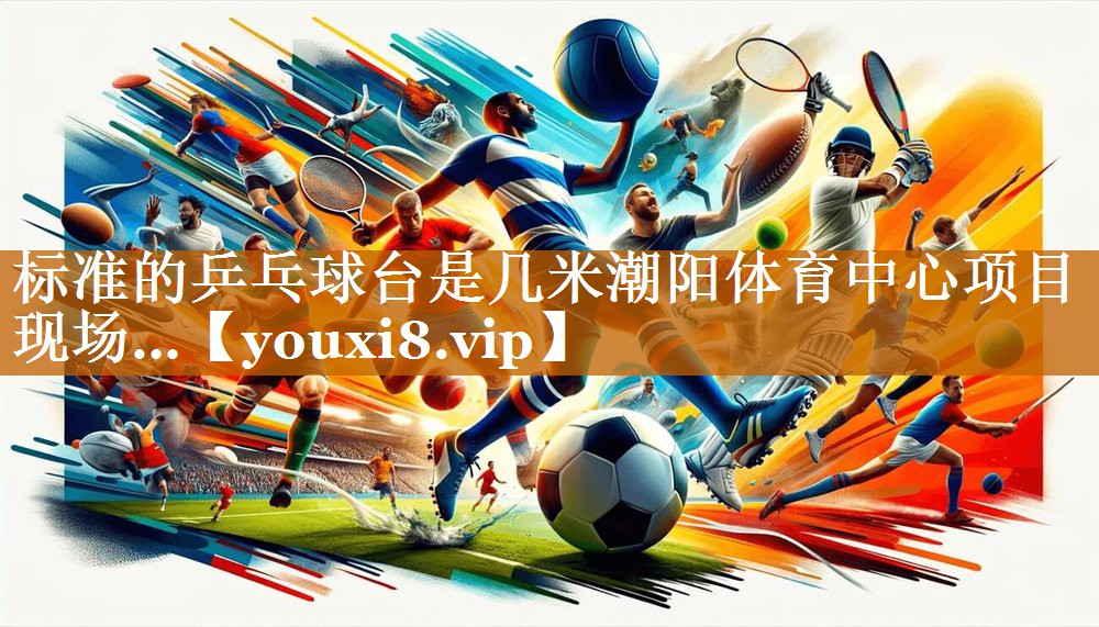 標準的乒乓球臺是幾米潮陽體育中心項目現場…
