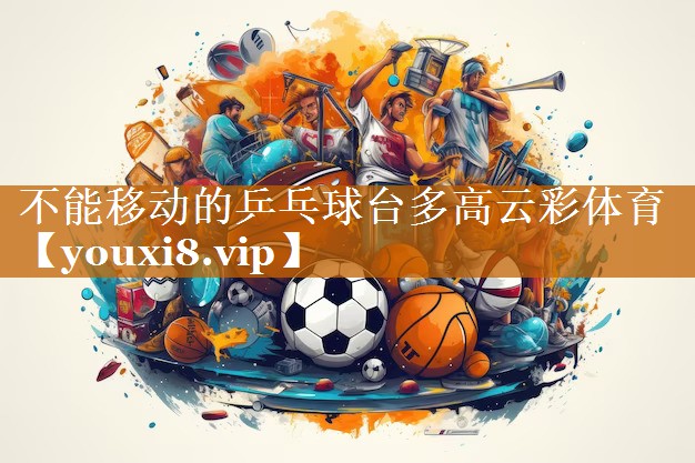 不能移動的乒乓球臺多高云彩體育