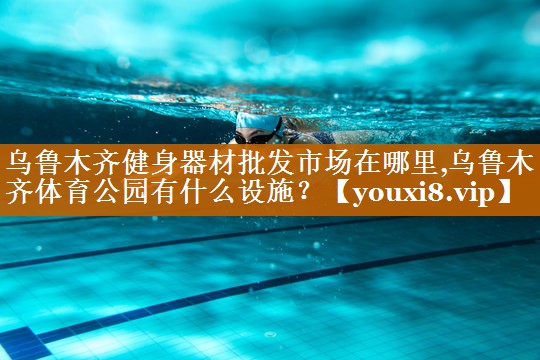 烏魯木齊健身器材批發市場在哪里,烏魯木齊體育公園有什么設施？
