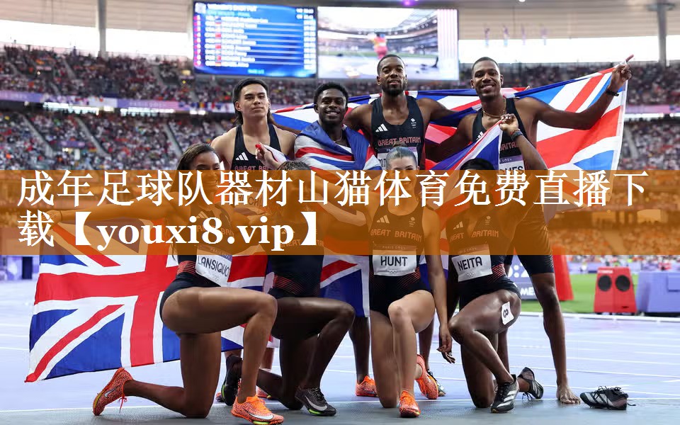 成年足球隊器材山貓體育免費直播下載