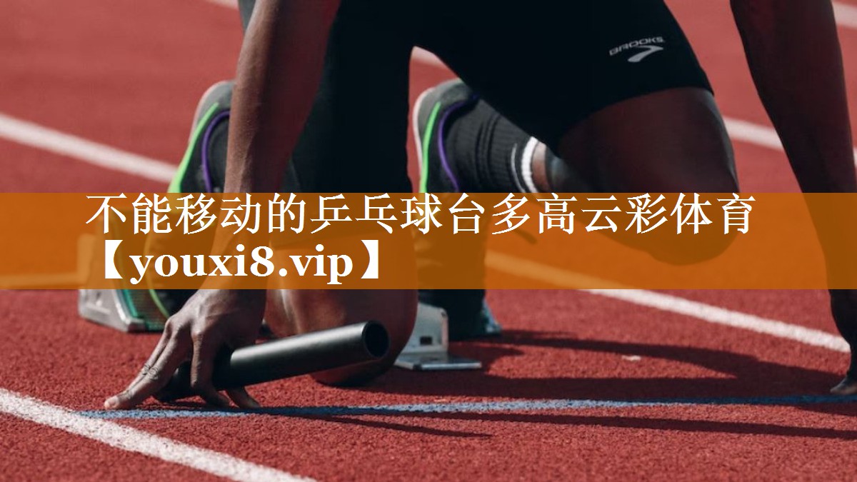 不能移動的乒乓球臺多高云彩體育