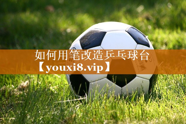 如何用筆改造乒乓球臺