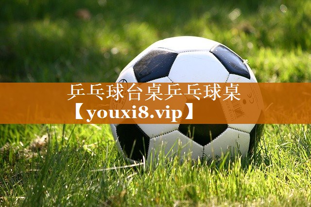 乒乓球臺桌乒乓球桌 乒乓球臺桌乒乓球桌