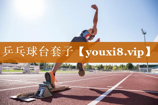 乒乓球臺(tái)套子 乒乓球臺(tái)套子