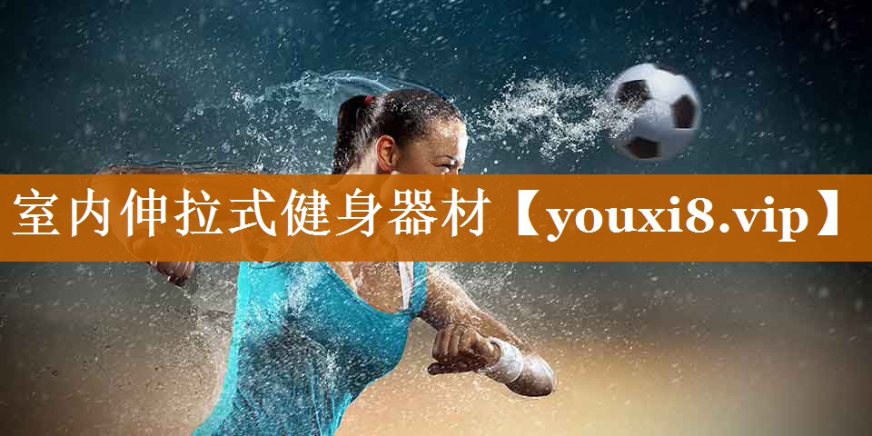 室內伸拉式健身器材 室內伸拉式健身器材