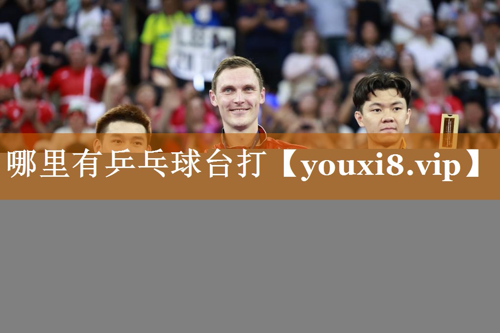 哪里有乒乓球臺打 哪里有乒乓球臺打