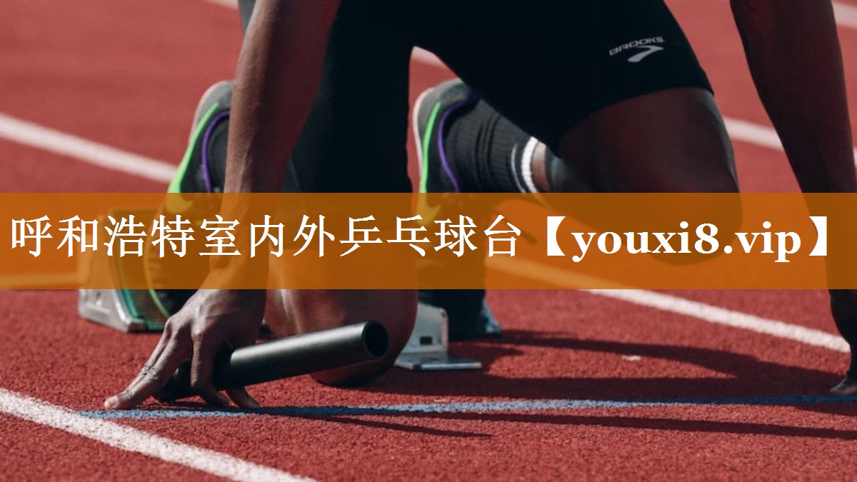 呼和浩特室內(nèi)外乒乓球臺 呼和浩特室內(nèi)外乒乓球臺