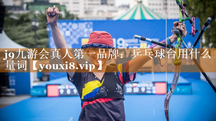 乒乓球臺(tái)用什么量詞 乒乓球臺(tái)用什么量詞