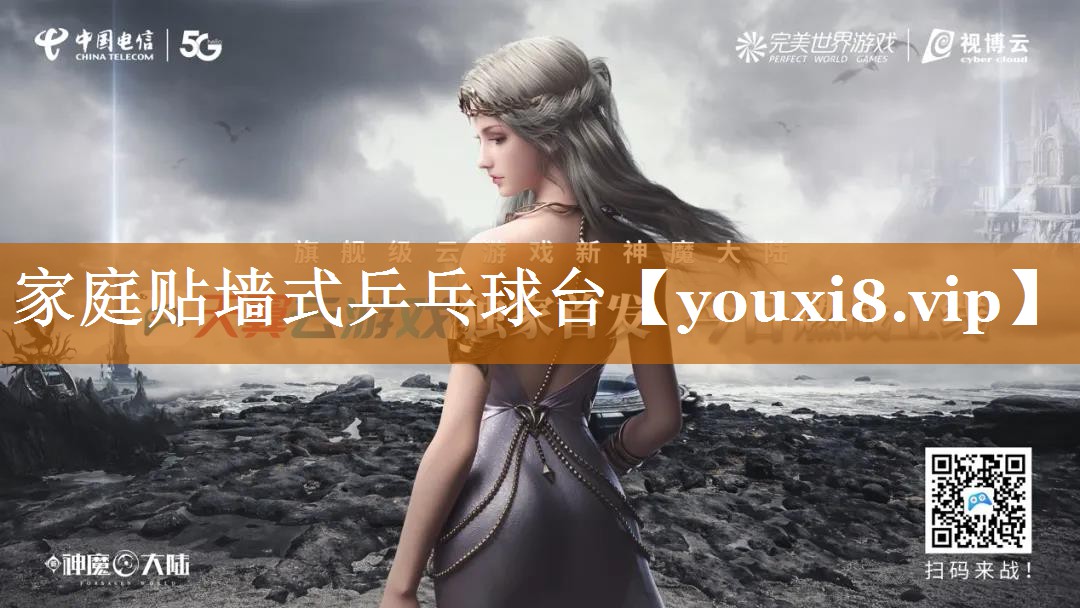 家庭貼墻式乒乓球臺 家庭貼墻式乒乓球臺