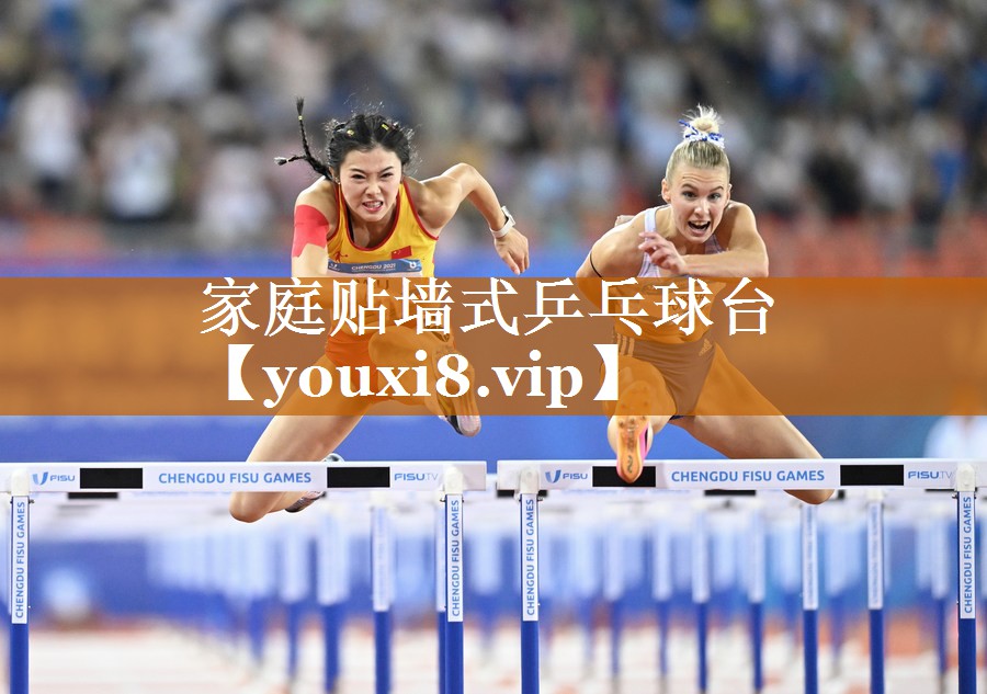 家庭貼墻式乒乓球臺 家庭貼墻式乒乓球臺