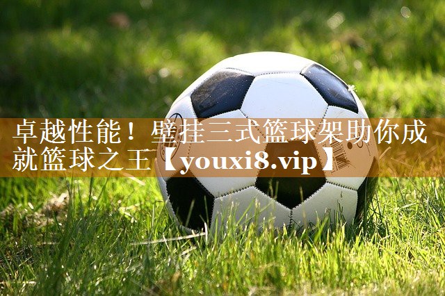 卓越性能!壁掛三式籃球架助你成就籃球之王 卓越性能!壁掛三式籃球架助你成就籃球之王